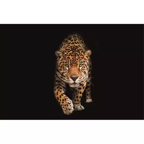 Hazenkamp Fachhändler Gefleckte Wildkatze - Panther 300x200x2cm Matte (113483)