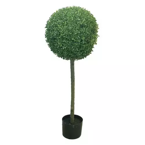 Hazenkamp Fachhändler Kasten Princeville Topiary W/Topf 38 -20x60cm (114408)