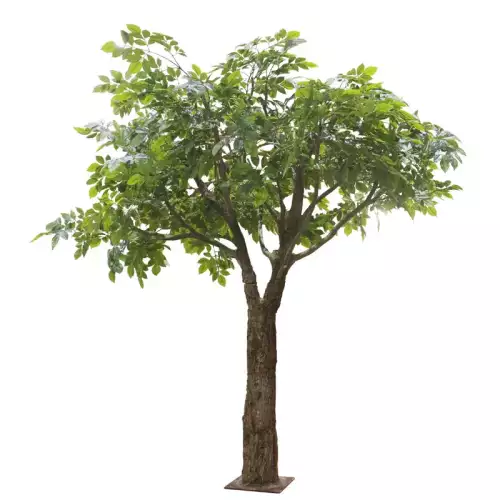 Hazenkamp Fachhändler Riesen Ficus Baum grün 160x160x230cm (114881)