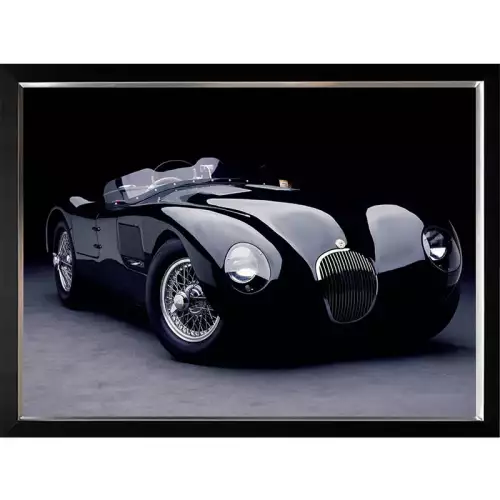 Hazenkamp Fachhändler 1951 Jaguar C-Type 120x90x3cm (102629)