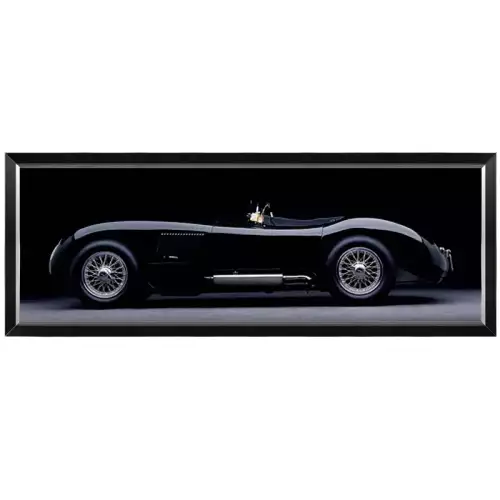 Hazenkamp Fachhändler 1951 Jaguar C-Type 180x60x3cm (102628)