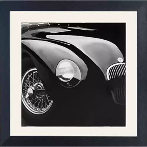 Hazenkamp Fachhändler Jaguar C-Type 30x30x3cm (102531)