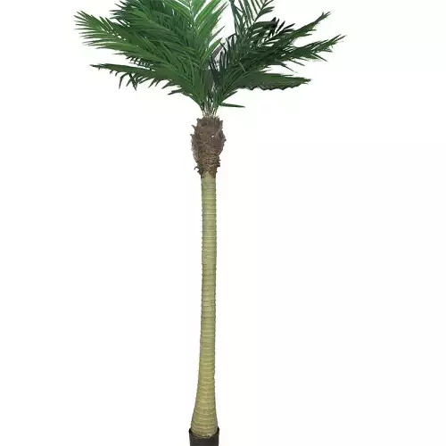 Hazenkamp Fachhändler Areca Palme Maui W/Topf 240x70x30cm (110525)