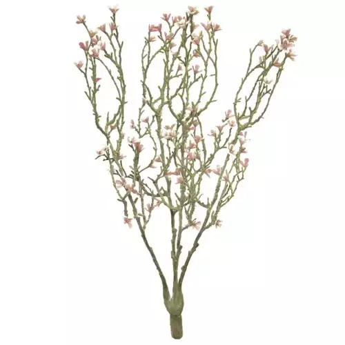 Hazenkamp Fachhändler (Best) Mini-Sternblumenstrauch rosa 44cm (200998)