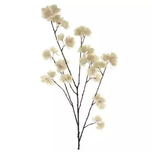 Hazenkamp Fachhändler Kirschblüte Romy Pink 99cm (201003)