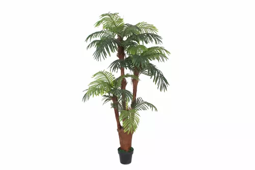 Hazenkamp Fachhändler Palm 180cm (201525)