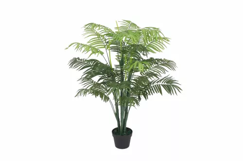 Hazenkamp Fachhändler Palm 125cm (201528)